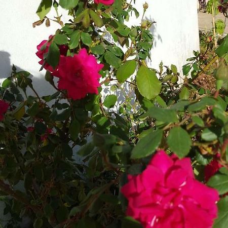 Giardini Di Lanzo Βίλα Μαρτίνα Φράνκα Εξωτερικό φωτογραφία