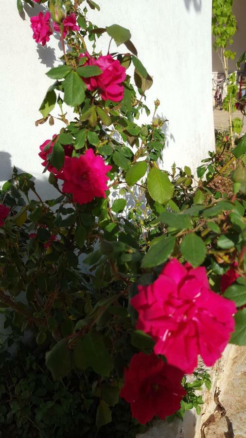 Giardini Di Lanzo Βίλα Μαρτίνα Φράνκα Εξωτερικό φωτογραφία